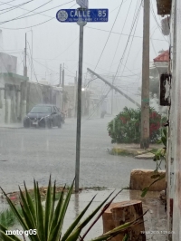 Árboles y postes caídos por fuertes lluvias