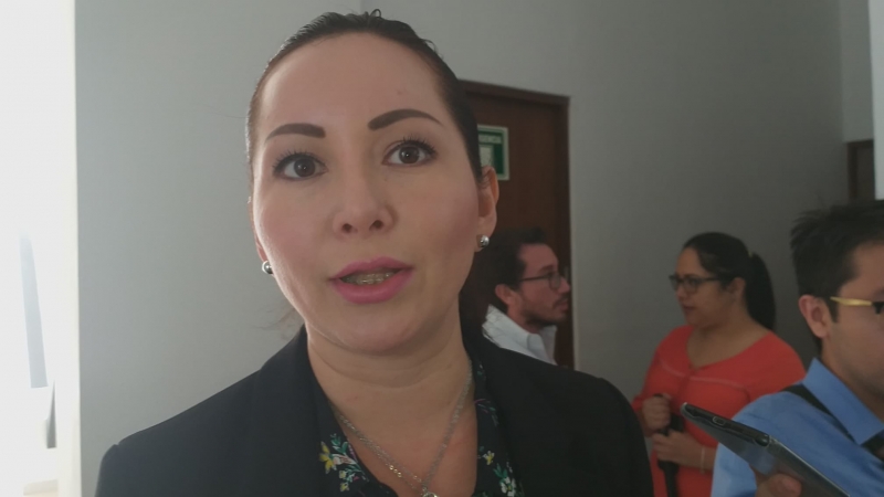 Disminución de tarifas no debe afectar servicio: Janice Escobedo