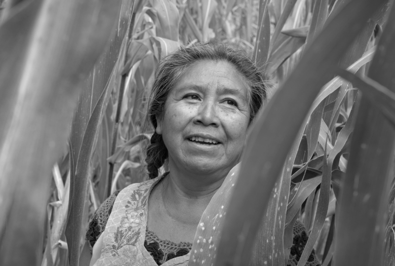 Festival Internacional de Cortometrajes llegará a Mérida