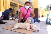 Ayuntamiento promueve bienestar y tenencia responsable de mascotas