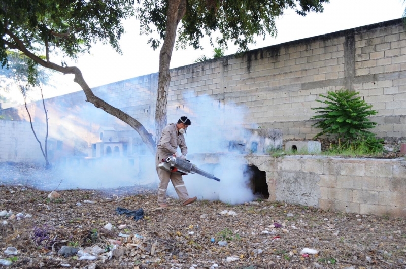 Realizan jornadas de fumigación para evitar proliferación de moscos