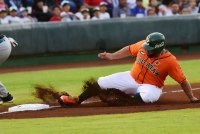 Leones recibe a Pericos este martes; va por la cima del sur