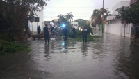 Árboles y espectaculares caídos tras intensa lluvia