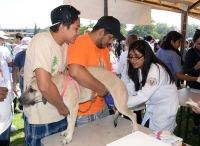 Erradicada la rabia en México