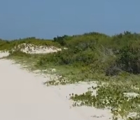Protecci&oacute;n de dunas y manglares, por encima de cualquier proyecto privado