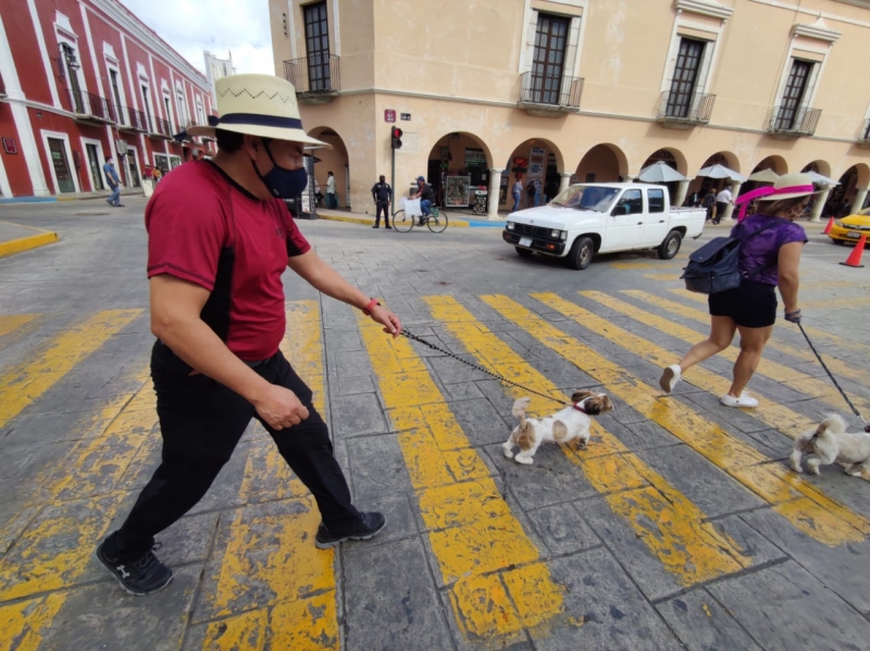 Mueren 7 y se contagian 55 por Covid-19 en Yucatán 