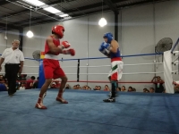 Arranca eliminatoria de box amateur