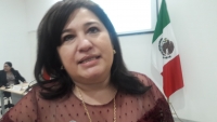 Díaz Mena y Vila deberán trabajar de manera coordinada: Celia Rivas
