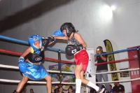 Realizan 17 peleas de box femenil en la UDCC