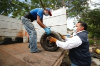 Refuerzan acciones sanitarias en comisarías afectadas por ciclones