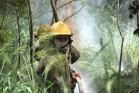 Combatir un incendio a 40 grados, labor diaria de bomberos de SSP
