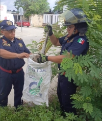 Retiran serpiente de v&iacute;a p&uacute;blica