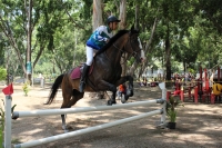 Yucatán gana medalla de plata en pentatlón moderno