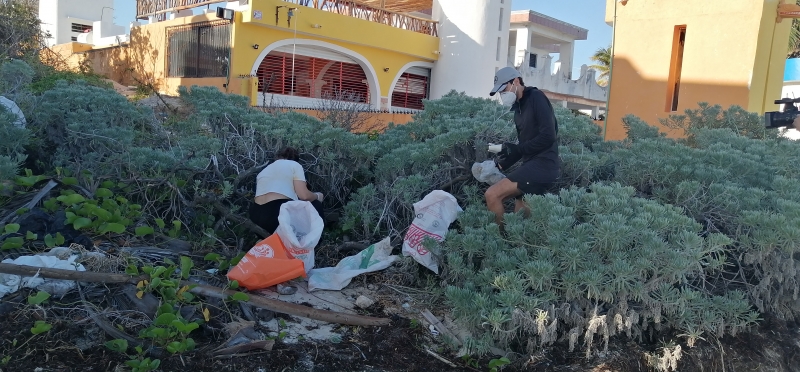 Retiran ciudadanos en Chicxulub más de 2 toneladas de basura de playas