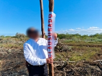 Clausura Profepa desmonte ilegal en manglar de Chelem