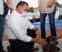 Ayuntamiento se vincula con una App para facilitar adopción de animales