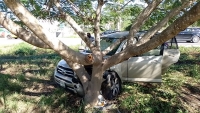 Conductora se impacta contra árbol por esquivar tinaco