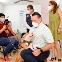 Promueven la adopción responsable canina y felina en Mérida