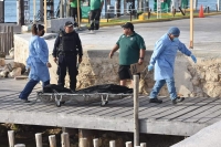 Resbala y muere ahogado en Puerto Progreso