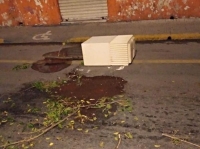 Maceteros del Centro de Mérida costaron casi 10.5 mdp 
