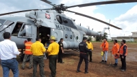 Controlan incendio forestal cerca de la Reserva de Celestún