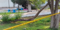 Octogenario se suicida en parque público