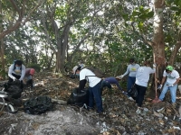 Estudiantes realizan limpieza del manglar de Chicxulub Puerto