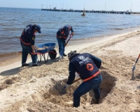 Continúa monitoreo de marea roja en Yucatán