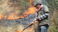 Llaman a mantenerse alerta ante incendios forestales