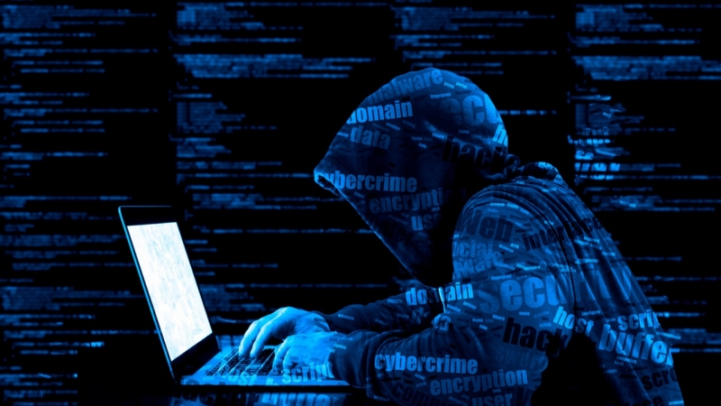 Movilidad del delito cibernético va al alza