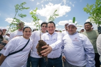 Yucatán apuesta por un futuro verde