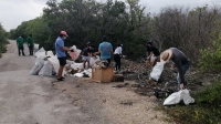 Limpian activistas manglares de Chicxulub