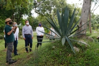 Alcalde Alejandro Ruz visita el Agavario de Xoclán