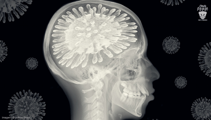 Afectaciones en el cerebro, probables secuelas por Covid-19