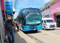 Transporte público brindará servicio de manera regular