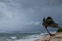 Pronostican temporada de huracanes con formaciones arriba del promedio