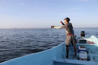 Pescadores reportan baja captura de mero