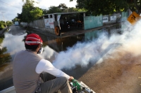 "Hay moscos enormes" alertan vecinos de zonas inundadas; autoridades inician fumigación