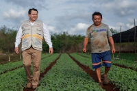 Rehabilitan caminos sacacosechas