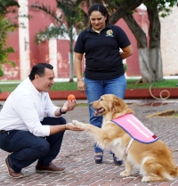 Protegeremos a los animales: Renán