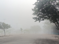 Densa neblina en el Poniente de Mérida