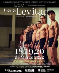 Se presentará gala del Ballet Levitar en Yucatán