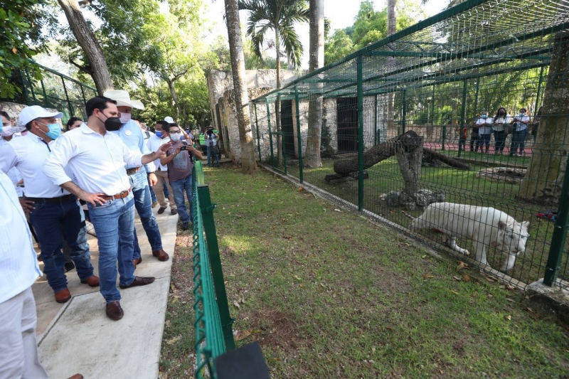 Parque Zoológico "La Reina" de Tizimín luce nueva imagen