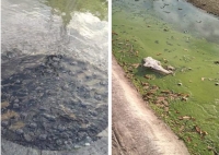 Alcalde de Umán abandona a colonos de Piedra de Agua