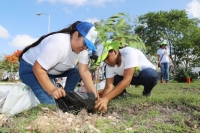 Participan vecinos de Los Héroes en jornada de arborización