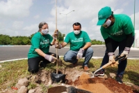 Arranca la Cruzada Forestal 2020