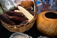 Promueven en Kantunil la milpa maya