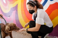 Supervisan adecuaciones al Centro Municipal de Control Animal