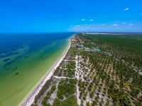 Vigila SSY paso de Marea Roja frente a costas yucatecas