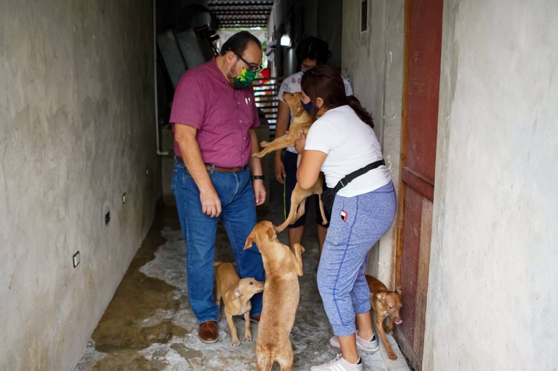 Más de 500 perros de refugios beneficiados con el "Reto Peek´" de Ramírez Marín